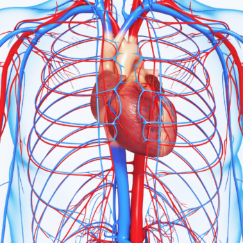 Cardiovascular Health